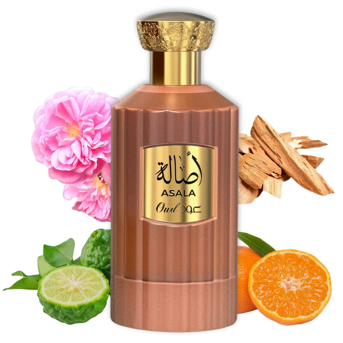 Asgharali Asala Eau de Parfum 50ml – Women's Fragrance