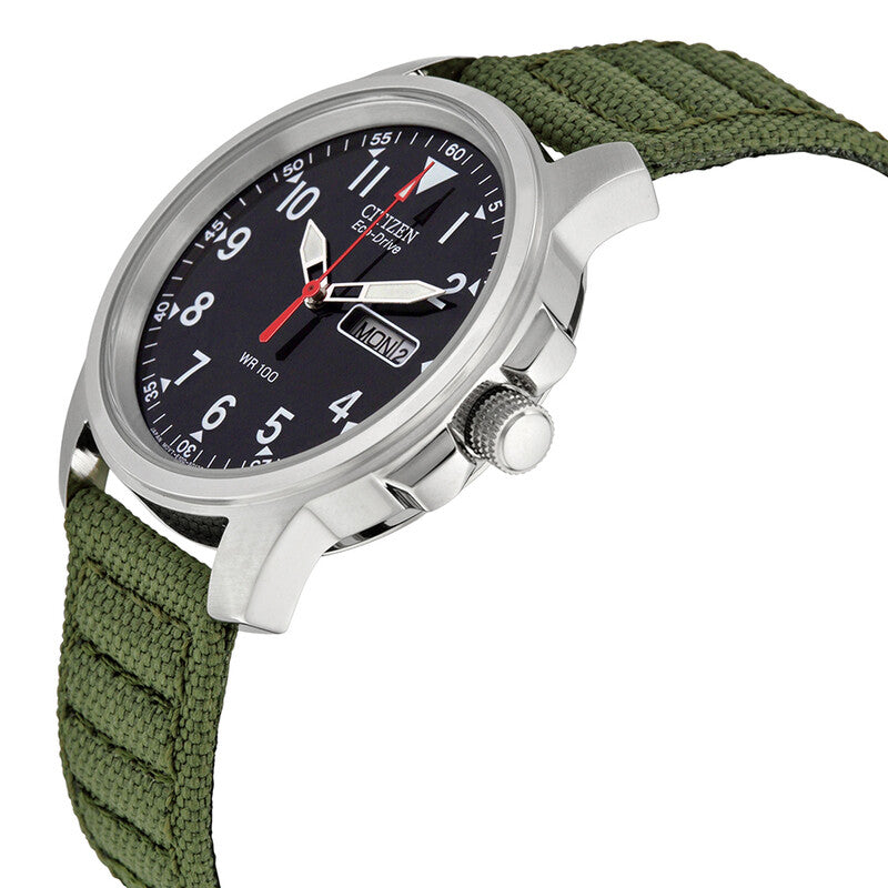 Citizen Strap Eco-Drive 180 Day-Date Men's Watch
