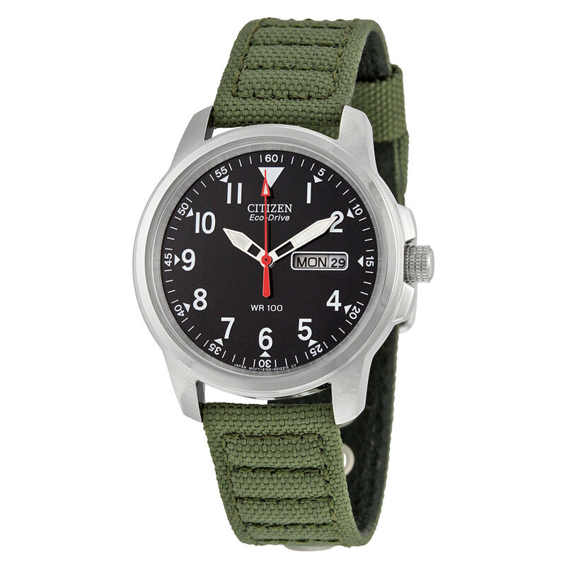 Citizen Strap Eco-Drive 180 Day-Date Men's Watch