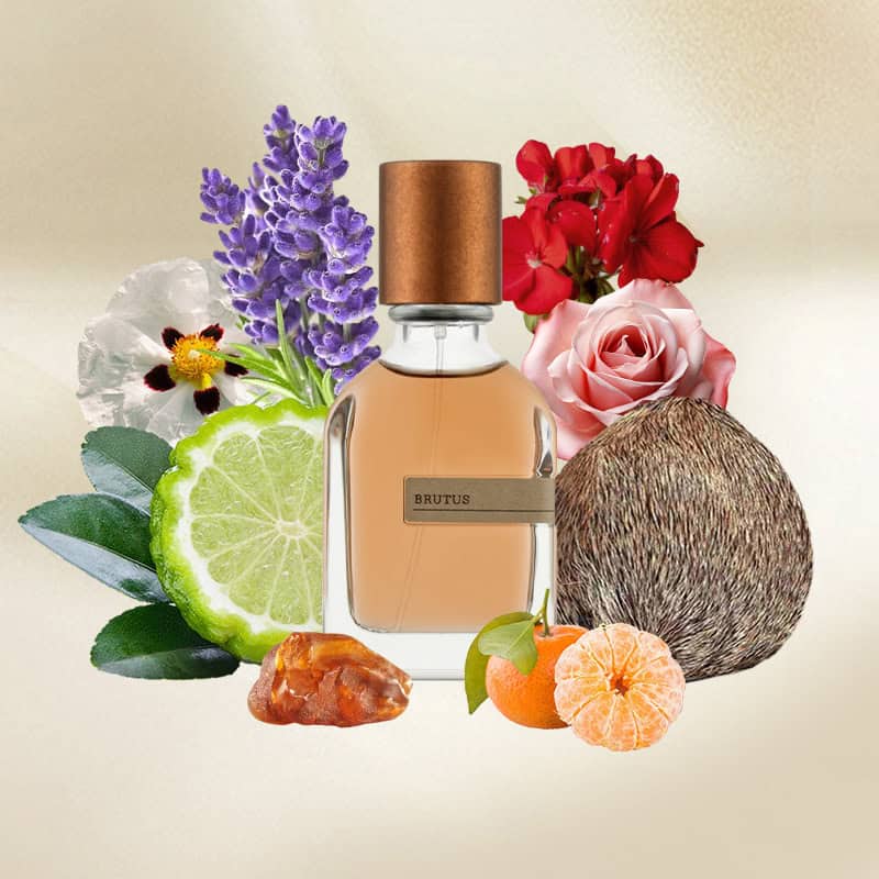Orto Parisi Brutus Eau de Parfum 50ml