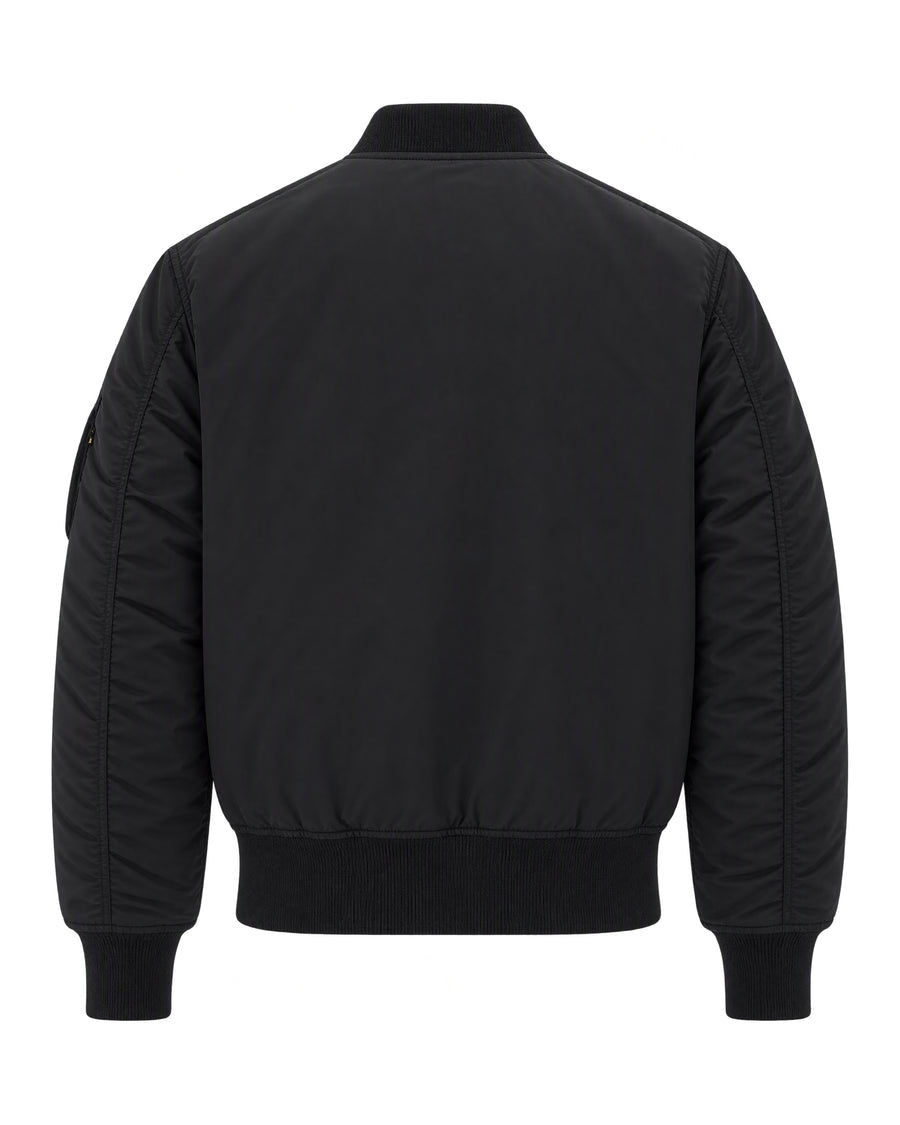 Alpha Industries Padded Bomber Jacket 1402277508163491262365696 men's jacket in black, product photo 2
