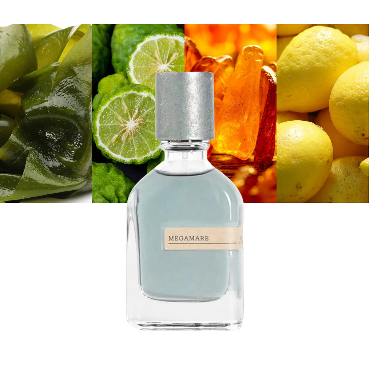 Orto Parisi Megamare Eau de Parfum 50ml