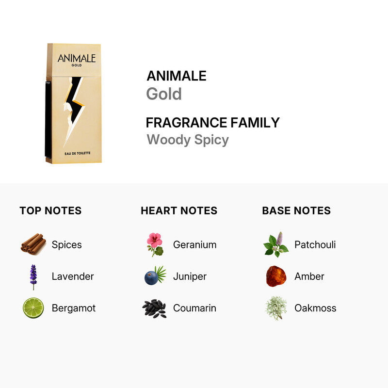 Animale Gold EDT 100 ml – Men's Fragrance