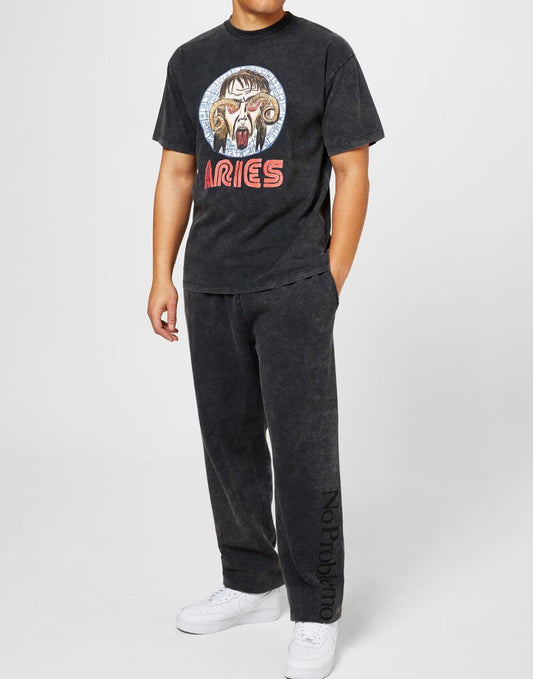 Aries Men's Logo Print T-Shirt — Black