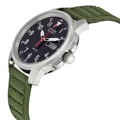 Citizen Strap Eco-Drive 180 Day-Date Men's Watch