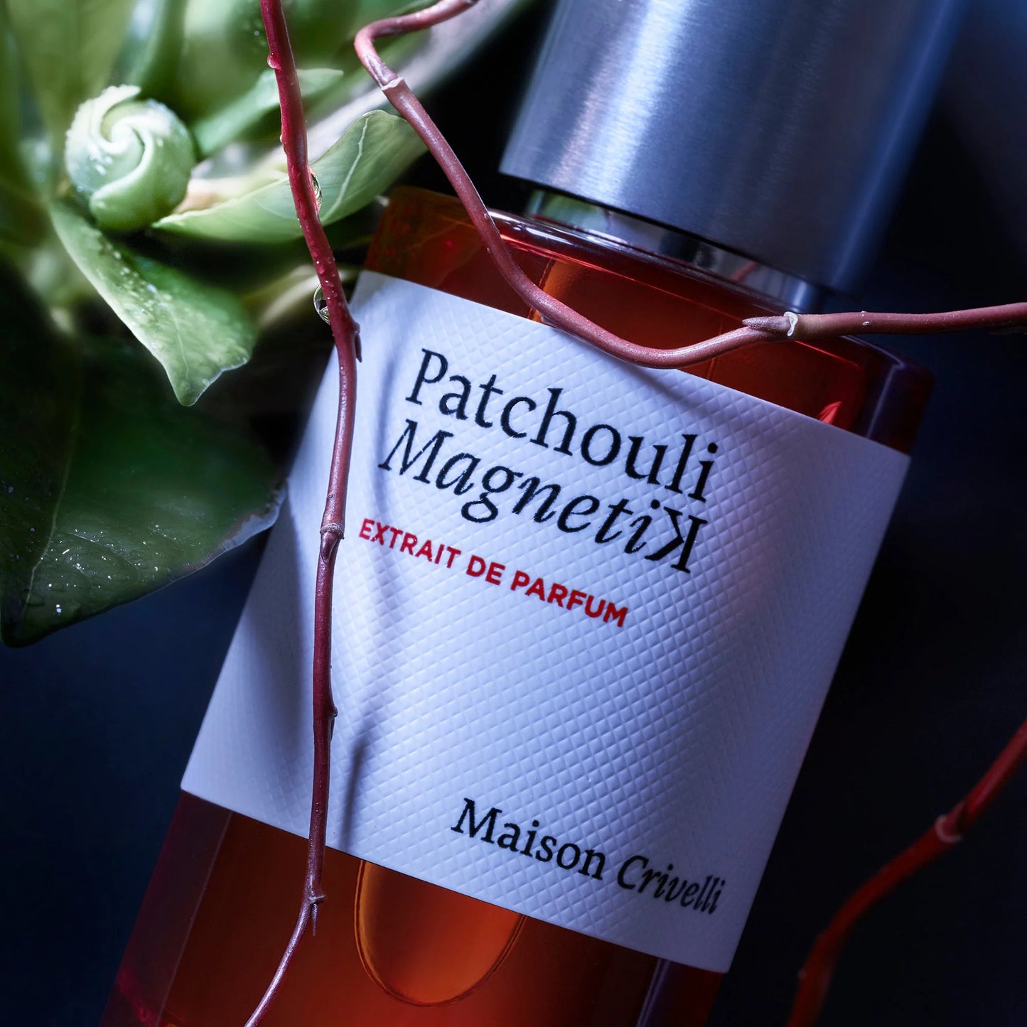 Maison Crivelli Patchouli Magnetik 50ml Extrait de Parfum Unisex