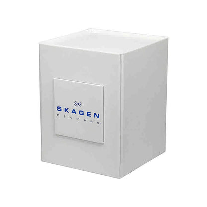 Skagen Melbye Grey Dial Grey Mesh Men's Watch SKW6007